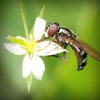 /album/karabaki/photolia-a02-jpg/