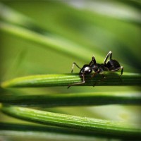 /album/karabaki/photolia-a05-jpg/