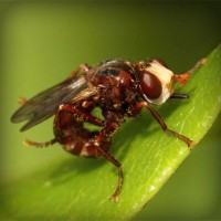 /album/karabaki/photolia-a06-jpg/