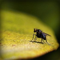 /album/karabaki/photolia-a07-jpg/